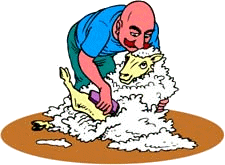 schapenscheren-bewegende-animatie-0004