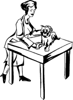 dierenarts-bewegende-animatie-0025