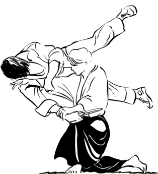 aikido-bewegende-animatie-0021