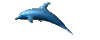 dolfijn-bewegende-animatie-0003