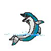 dolfijn-bewegende-animatie-0004