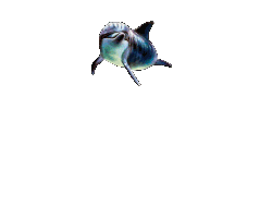 dolfijn-bewegende-animatie-0109