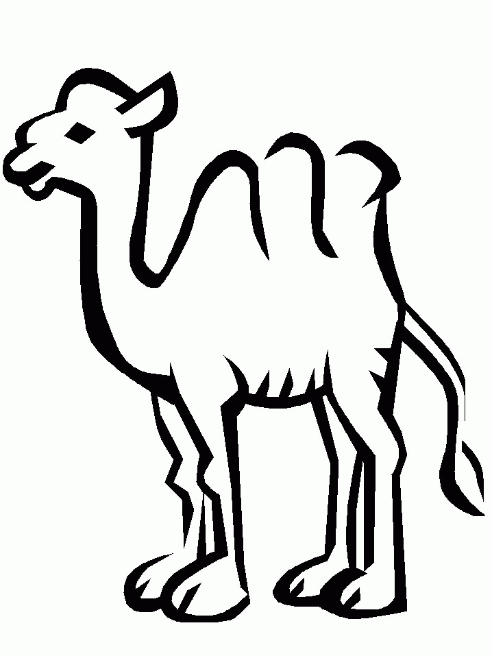kleurplaat-kameel-bewegende-animatie-0004