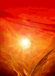 draak-bewegende-animatie-0157