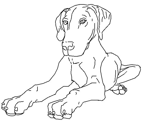kleurplaat-hond-bewegende-animatie-0007