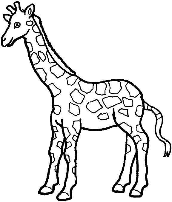 kleurplaat-giraffe-bewegende-animatie-0016