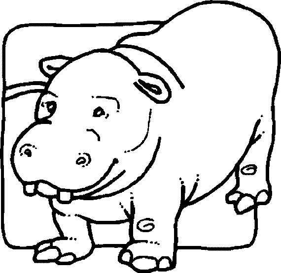 kleurplaat-nijlpaard-bewegende-animatie-0010