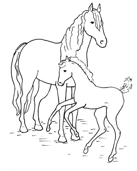 kleurplaat-paard-bewegende-animatie-0014