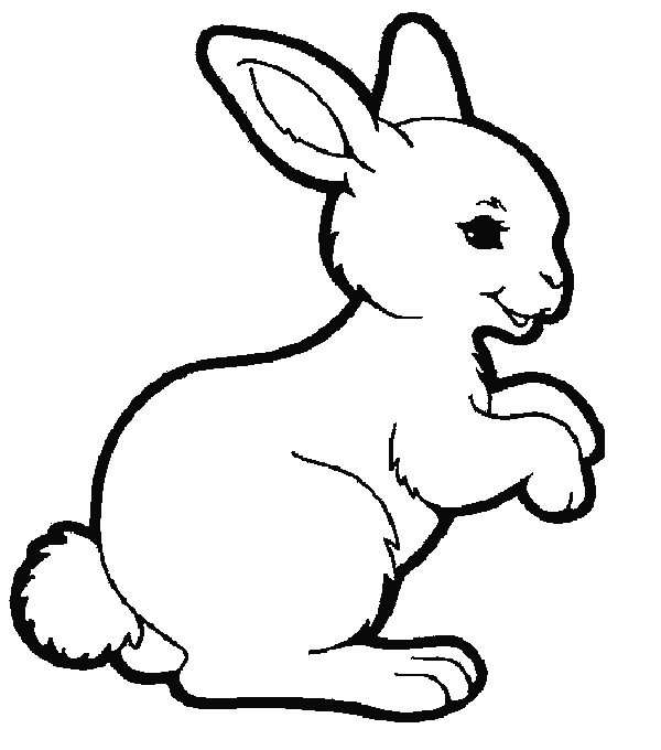 kleurplaat-konijn-bewegende-animatie-0011