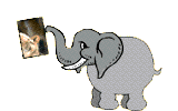 olifant-bewegende-animatie-0129