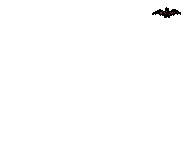 vleermuis-bewegende-animatie-0096