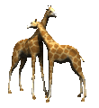 giraffe-bewegende-animatie-0046