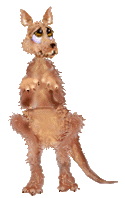 kangoeroe-bewegende-animatie-0060