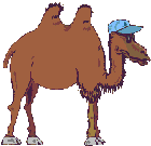 kameel-bewegende-animatie-0004