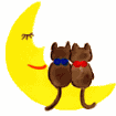 kat-bewegende-animatie-0462