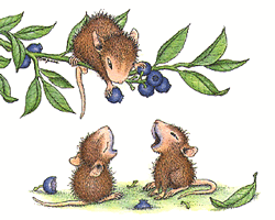 muis-bewegende-animatie-0194
