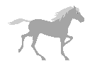 paard-bewegende-animatie-0074