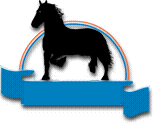 paard-bewegende-animatie-0296
