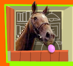 paard-bewegende-animatie-0303