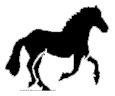 paard-bewegende-animatie-0309