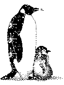 penguin-bewegende-animatie-0183