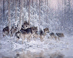 wolf-bewegende-animatie-0139