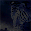 neon-bewegende-animatie-0403