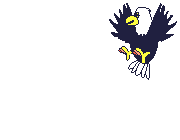 adelaar-bewegende-animatie-0025