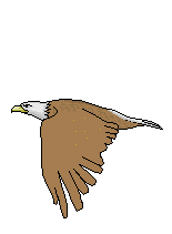 adelaar-bewegende-animatie-0035