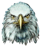 adelaar-bewegende-animatie-0046