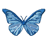 vlinder-bewegende-animatie-0015