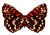 vlinder-bewegende-animatie-0032