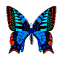 vlinder-bewegende-animatie-0142