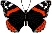 vlinder-bewegende-animatie-0150