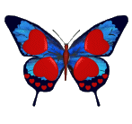 vlinder-bewegende-animatie-0287