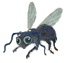insect-bewegende-animatie-0054