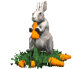 konijn-bewegende-animatie-0588