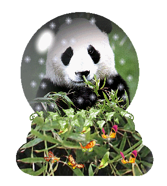 panda-en-pandabeer-bewegende-animatie-0093