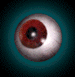 oog-bewegende-animatie-0323