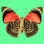 dier-avatar-bewegende-animatie-0023