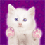 dier-avatar-bewegende-animatie-0113