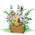 bloem-bewegende-animatie-0256