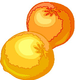 sinaasappel-bewegende-animatie-0023