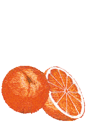 sinaasappel-bewegende-animatie-0057