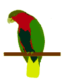 papagaai-bewegende-animatie-0098