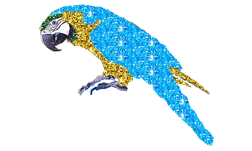 papagaai-bewegende-animatie-0130