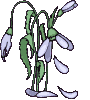 plant-bewegende-animatie-0115