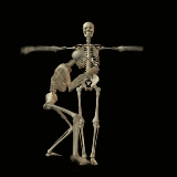 skelet-bewegende-animatie-0104