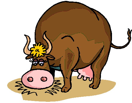 stier-bewegende-animatie-0047