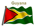 guyana-vlag-bewegende-animatie-0009